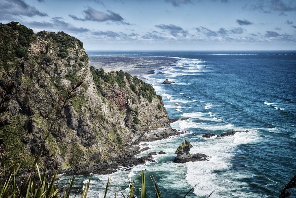 Mercer Bay West Coast