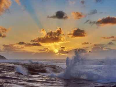 Another Muriwai Sunset